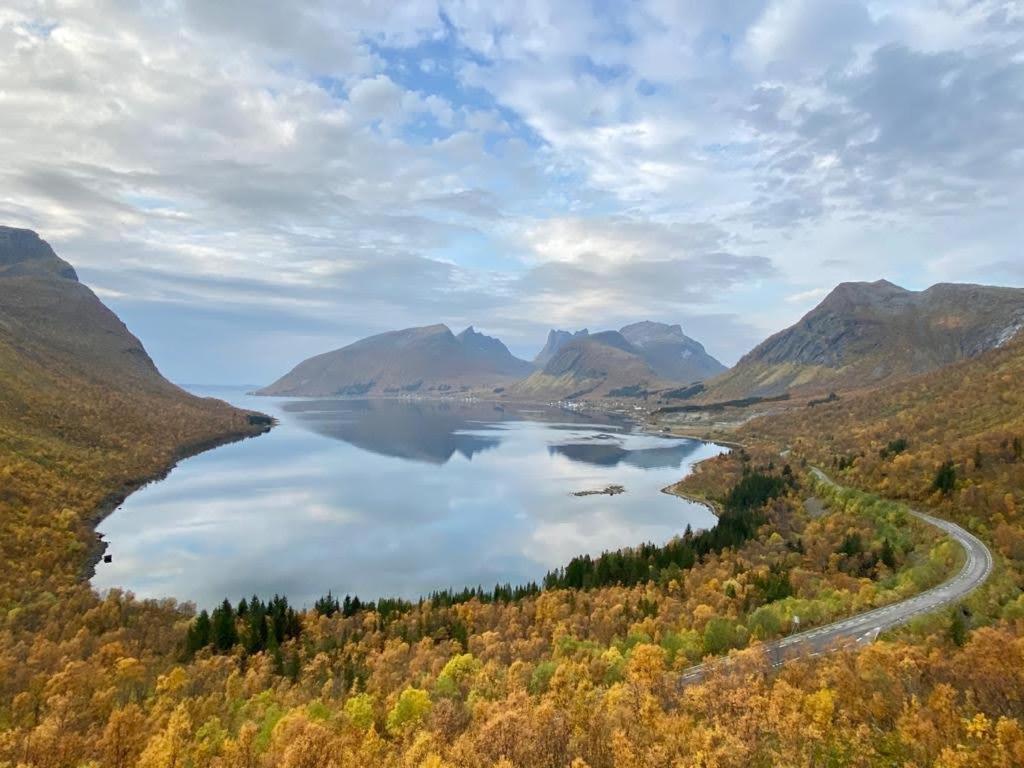 Ferrytale, Cozy, Spacious House On Senja Gryllefjord Екстер'єр фото