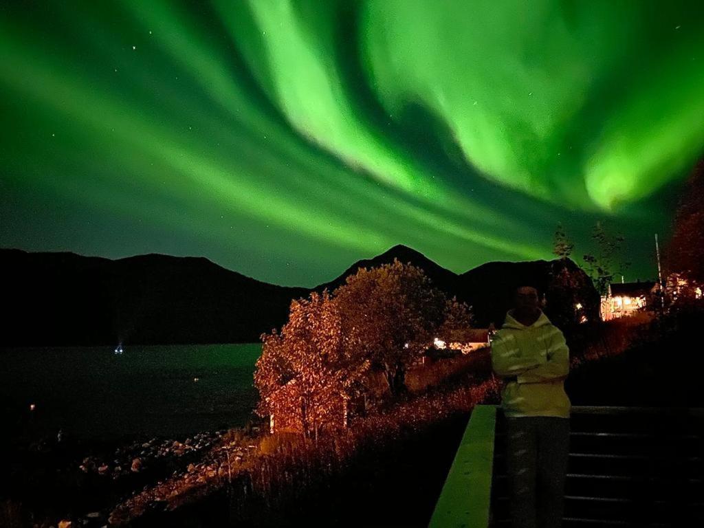 Ferrytale, Cozy, Spacious House On Senja Gryllefjord Екстер'єр фото