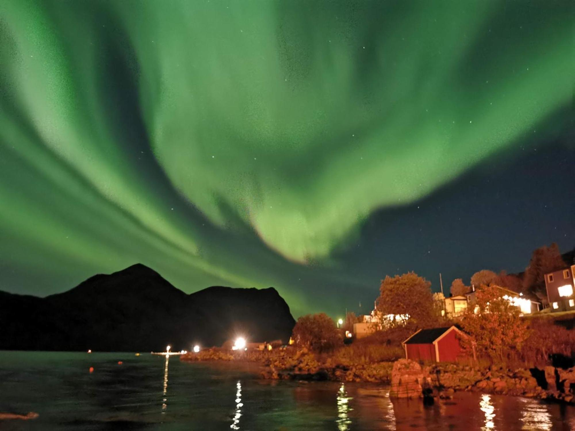 Ferrytale, Cozy, Spacious House On Senja Gryllefjord Екстер'єр фото