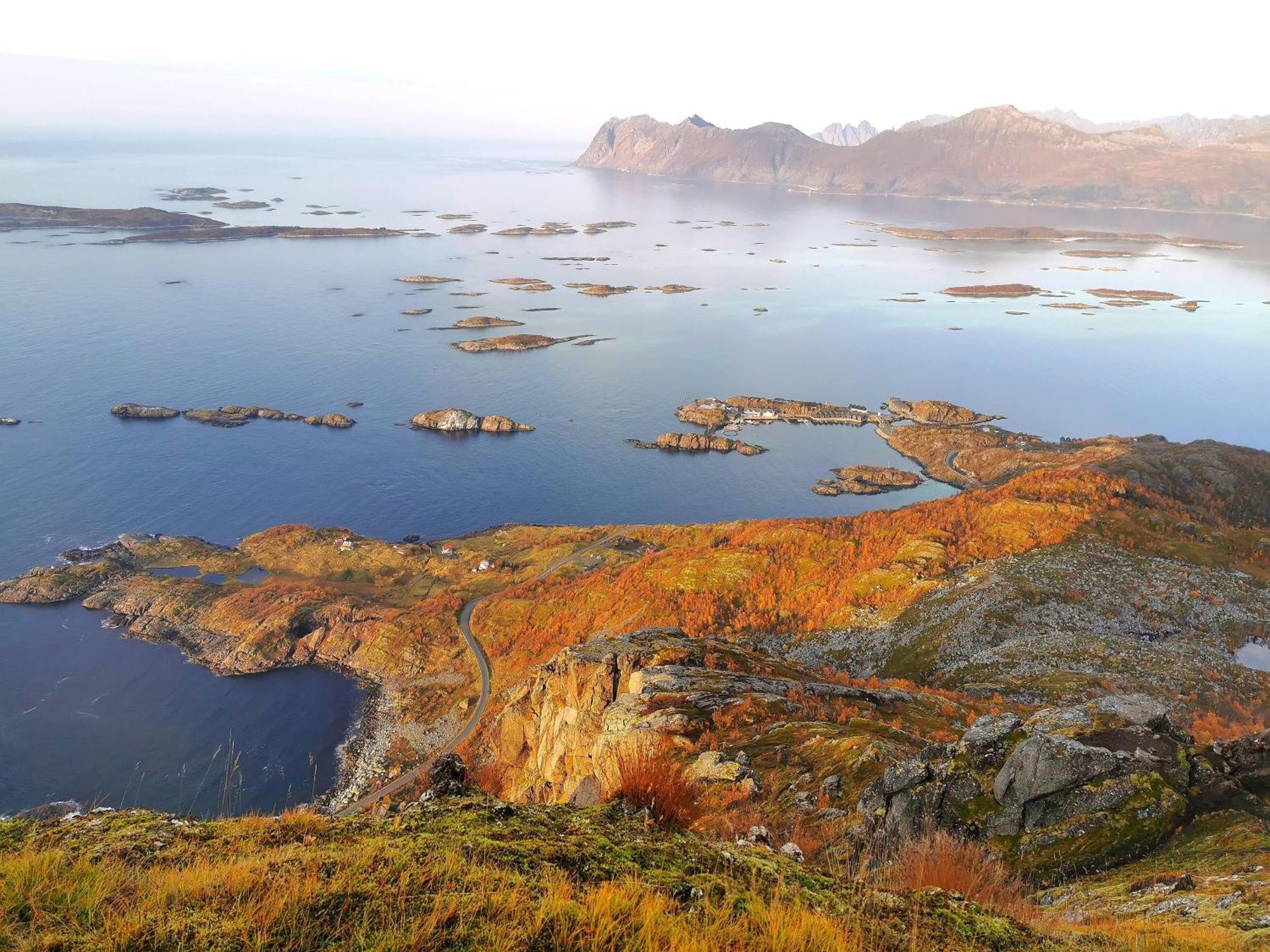Ferrytale, Cozy, Spacious House On Senja Gryllefjord Екстер'єр фото