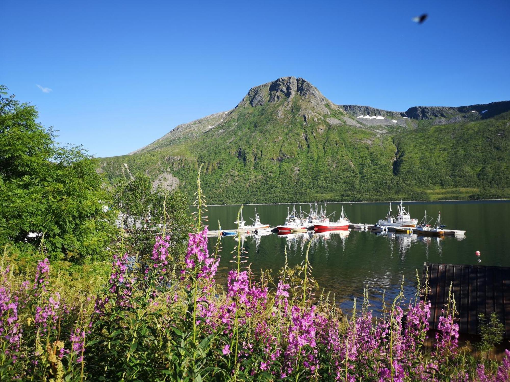 Ferrytale, Cozy, Spacious House On Senja Gryllefjord Екстер'єр фото