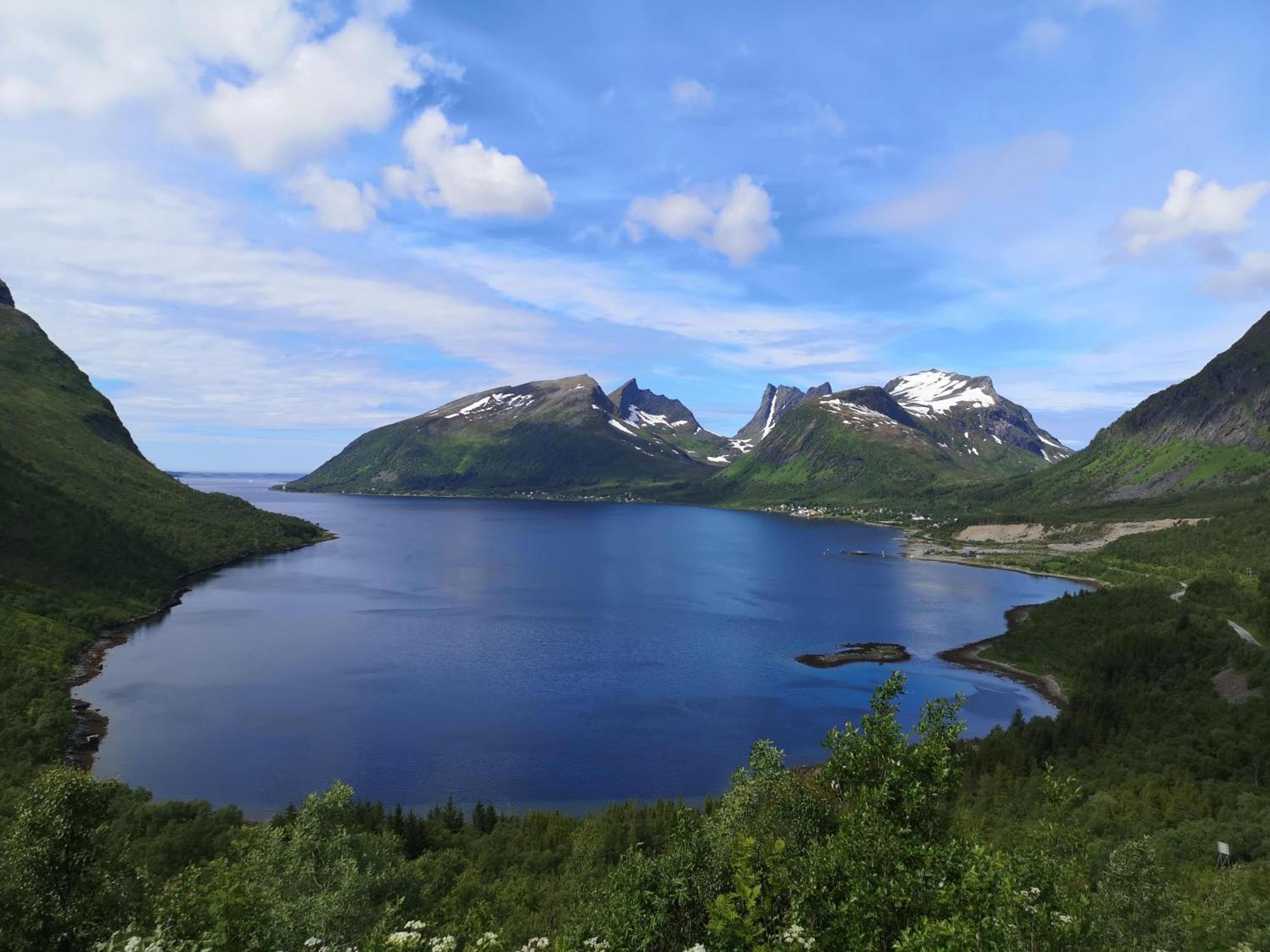 Ferrytale, Cozy, Spacious House On Senja Gryllefjord Екстер'єр фото