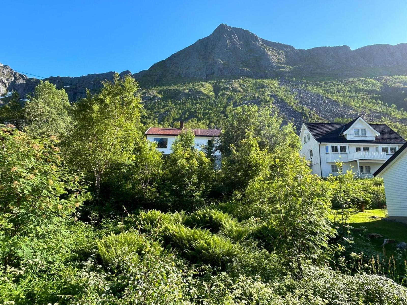 Ferrytale, Cozy, Spacious House On Senja Gryllefjord Екстер'єр фото